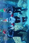 Santa Diver with Elves