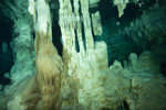 Dos Ojos Cenote