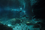 Dos Ojos Cenote