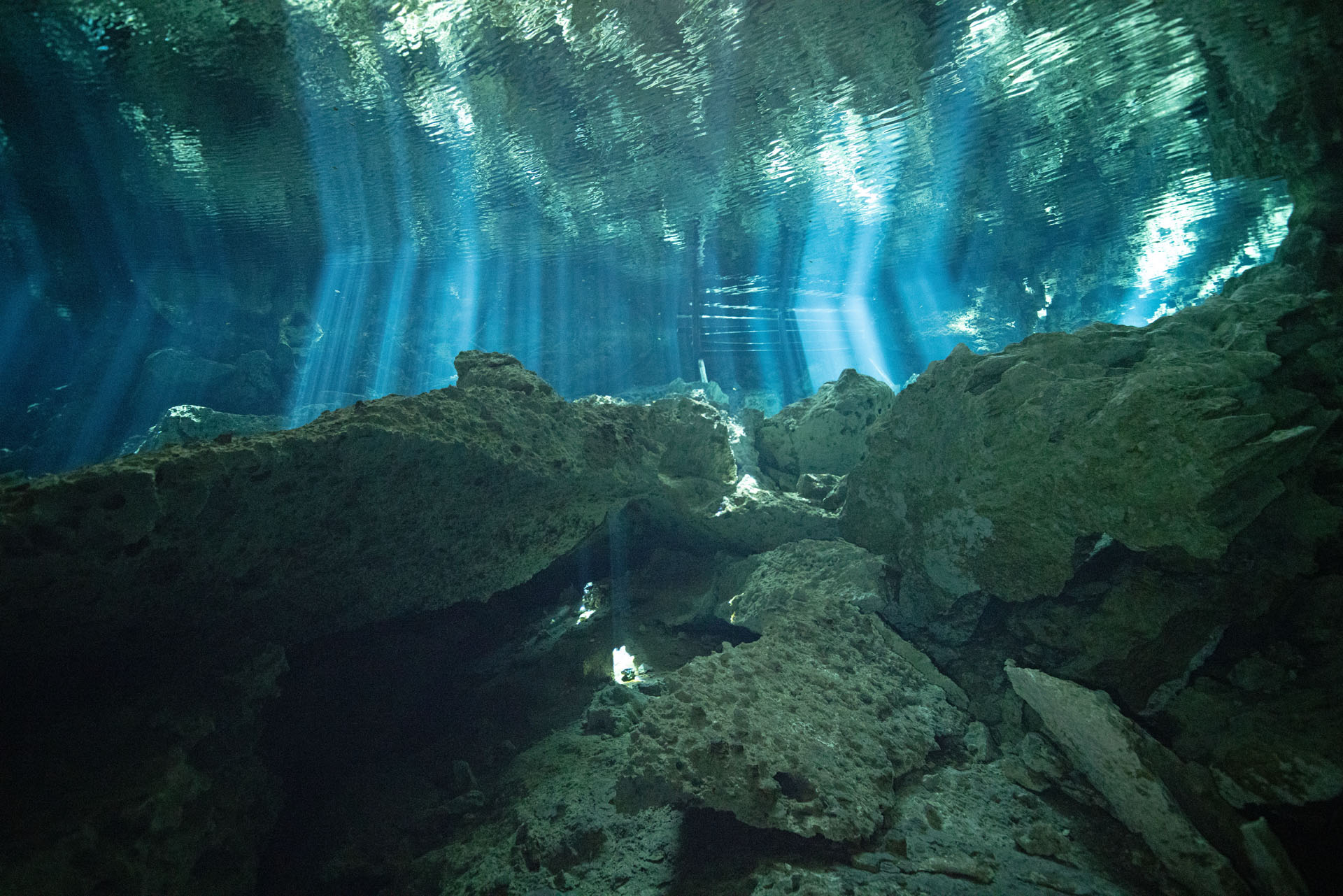 Dos Ojos Cenote (Dec 12, 2024)