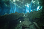 Dos Ojos Cenote