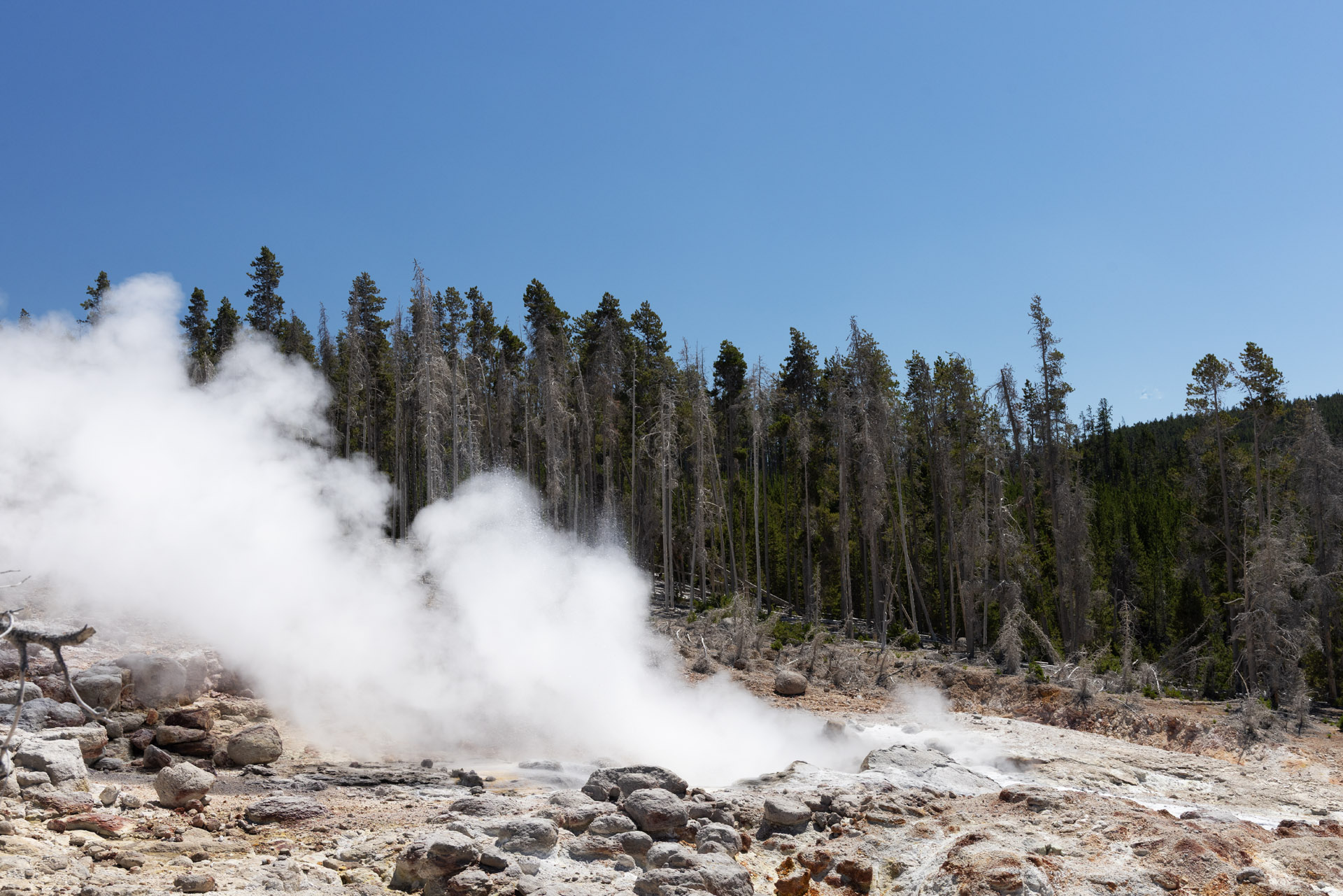 Steamboat Geyser (Jul 24, 2025)