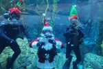 Santa Diver with Elves