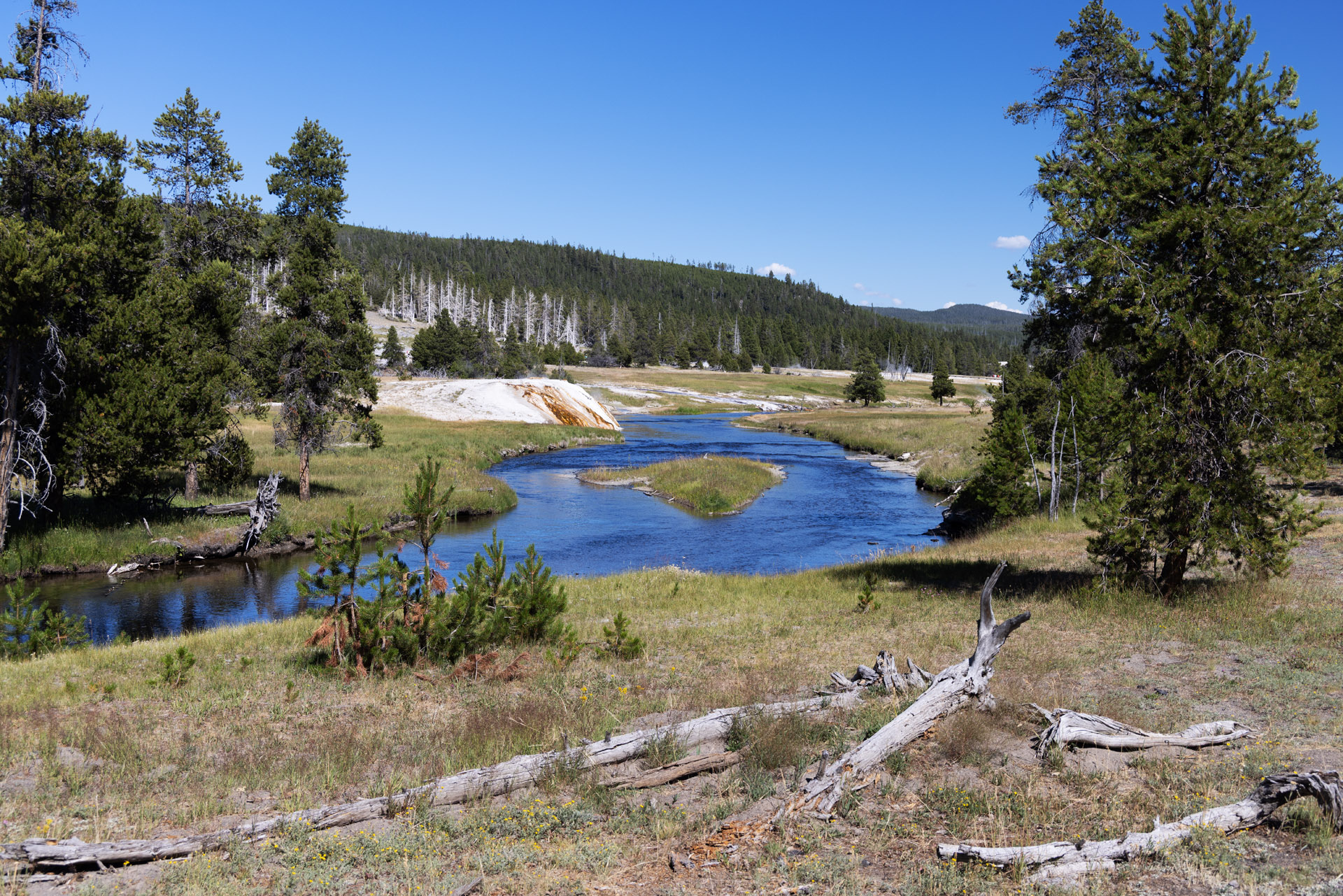Firehole River (Jul 24, 2025)