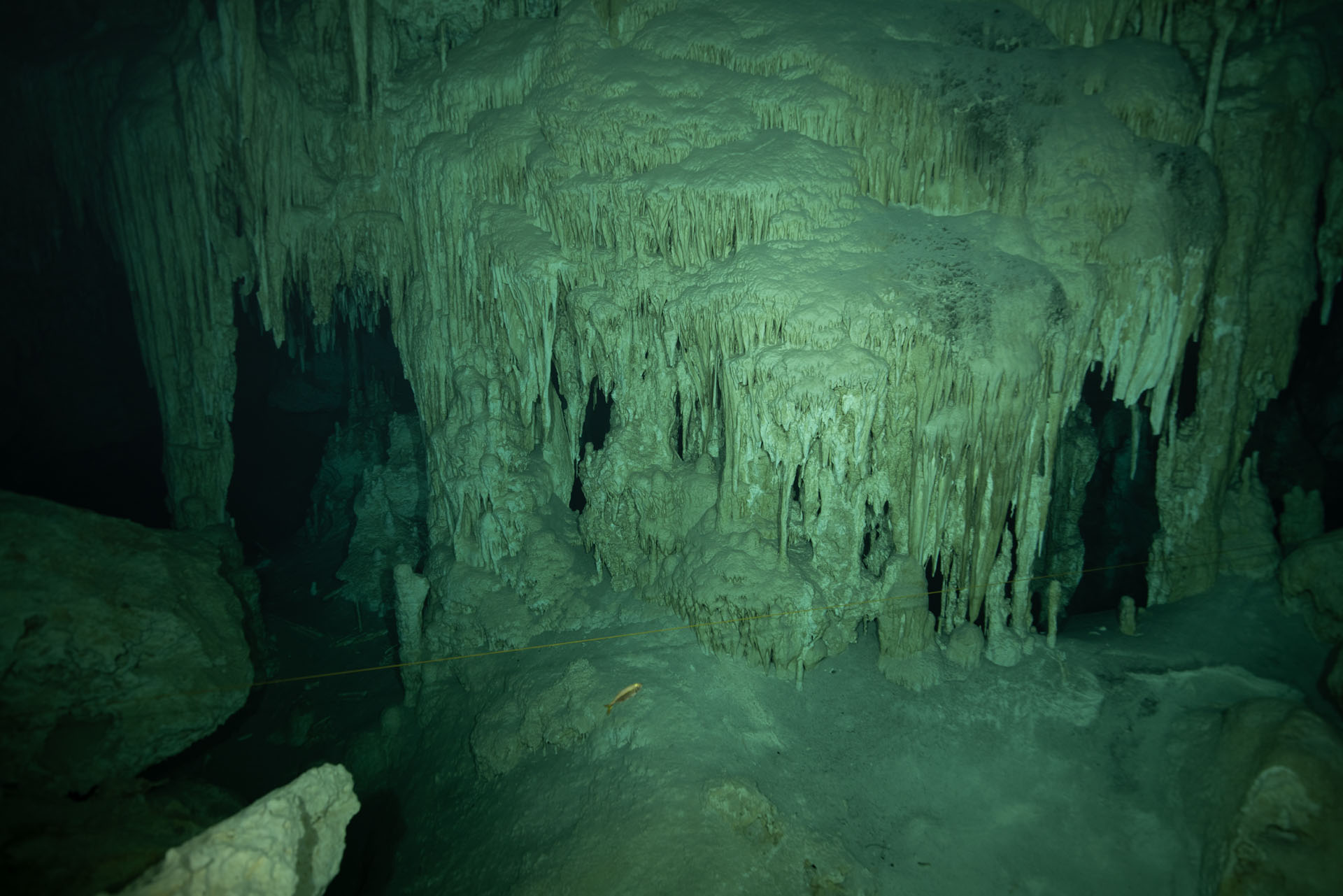 Dos Ojos Cenote (Dec 12, 2024)