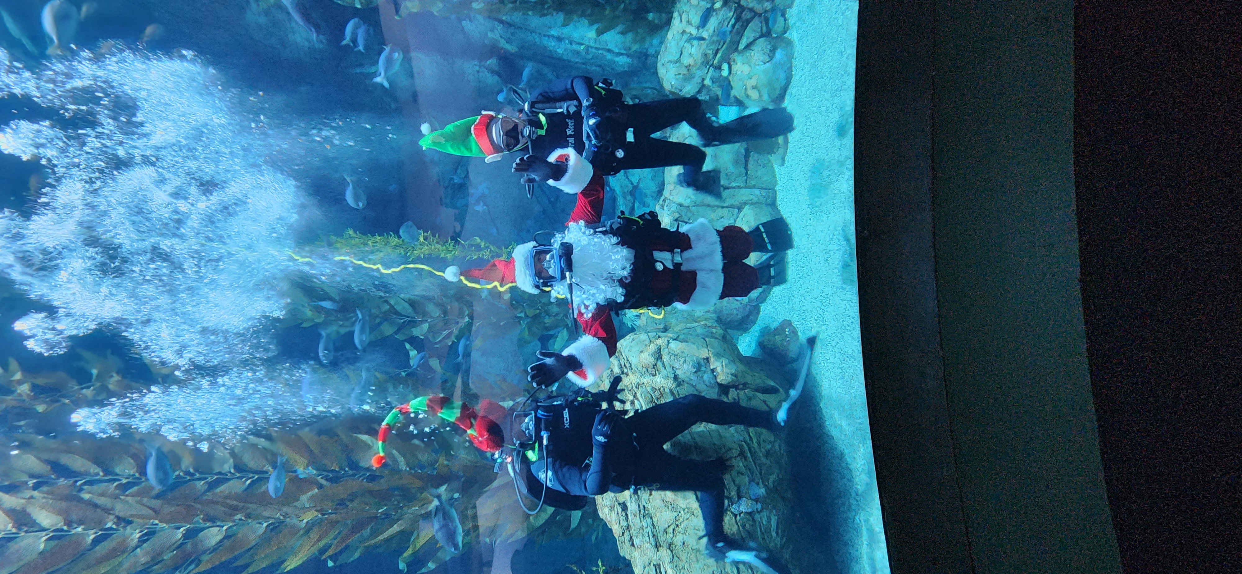 Santa Diver with Elves (Dec 2, 2023)