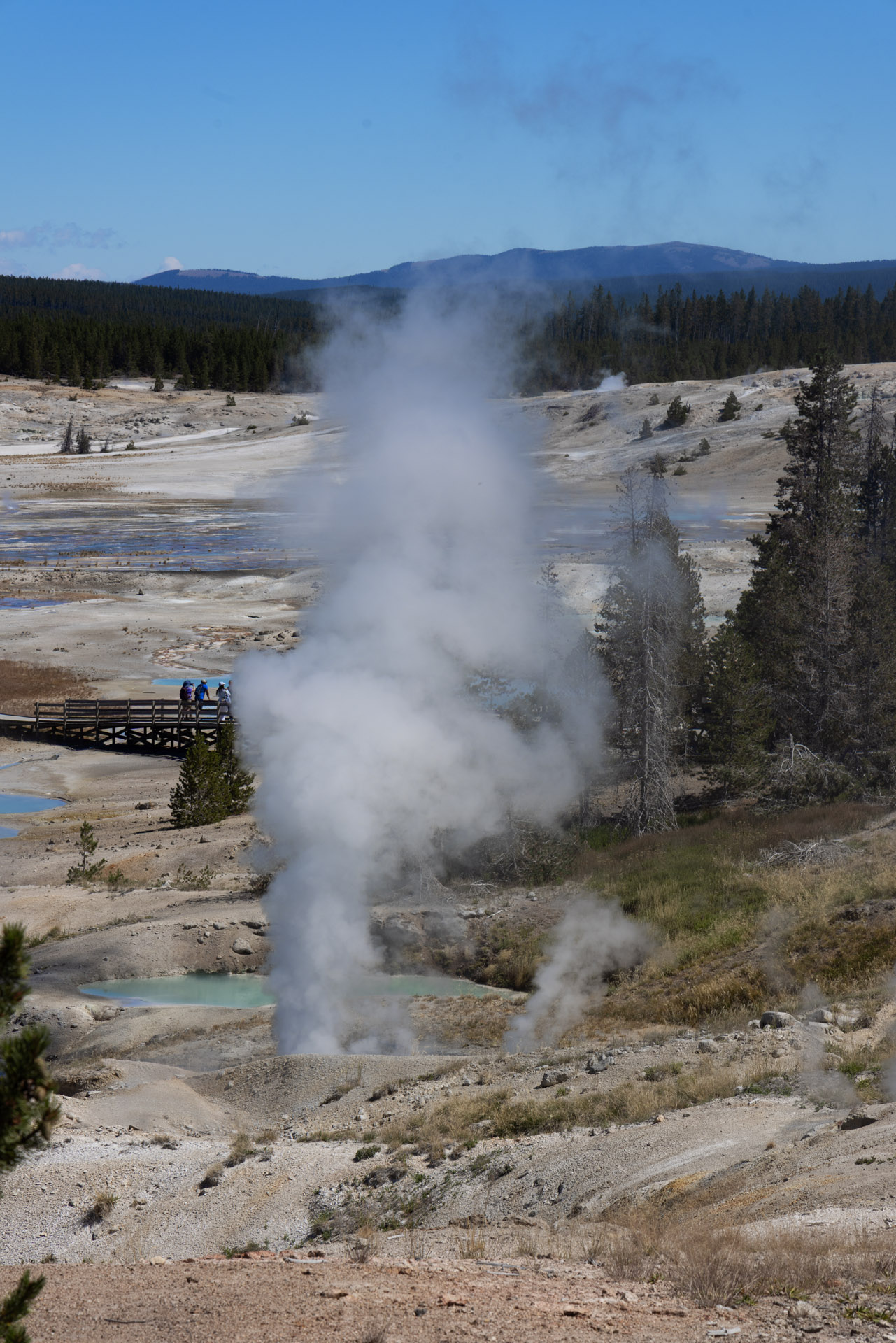 Ledge Geyser (Jul 24, 2025)