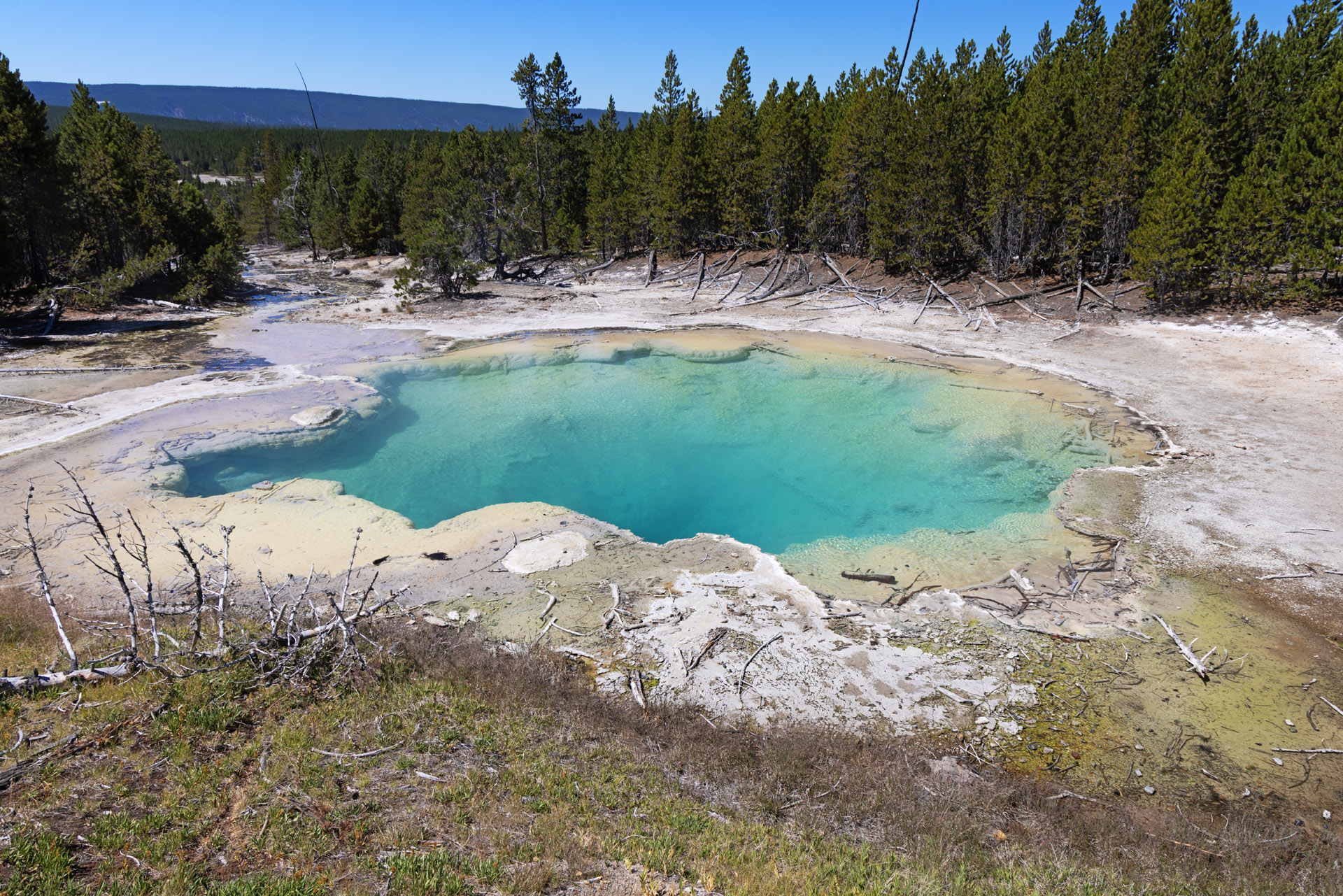 Emerald Spring (Jul 24, 2025)